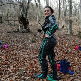 Модель «Крым»